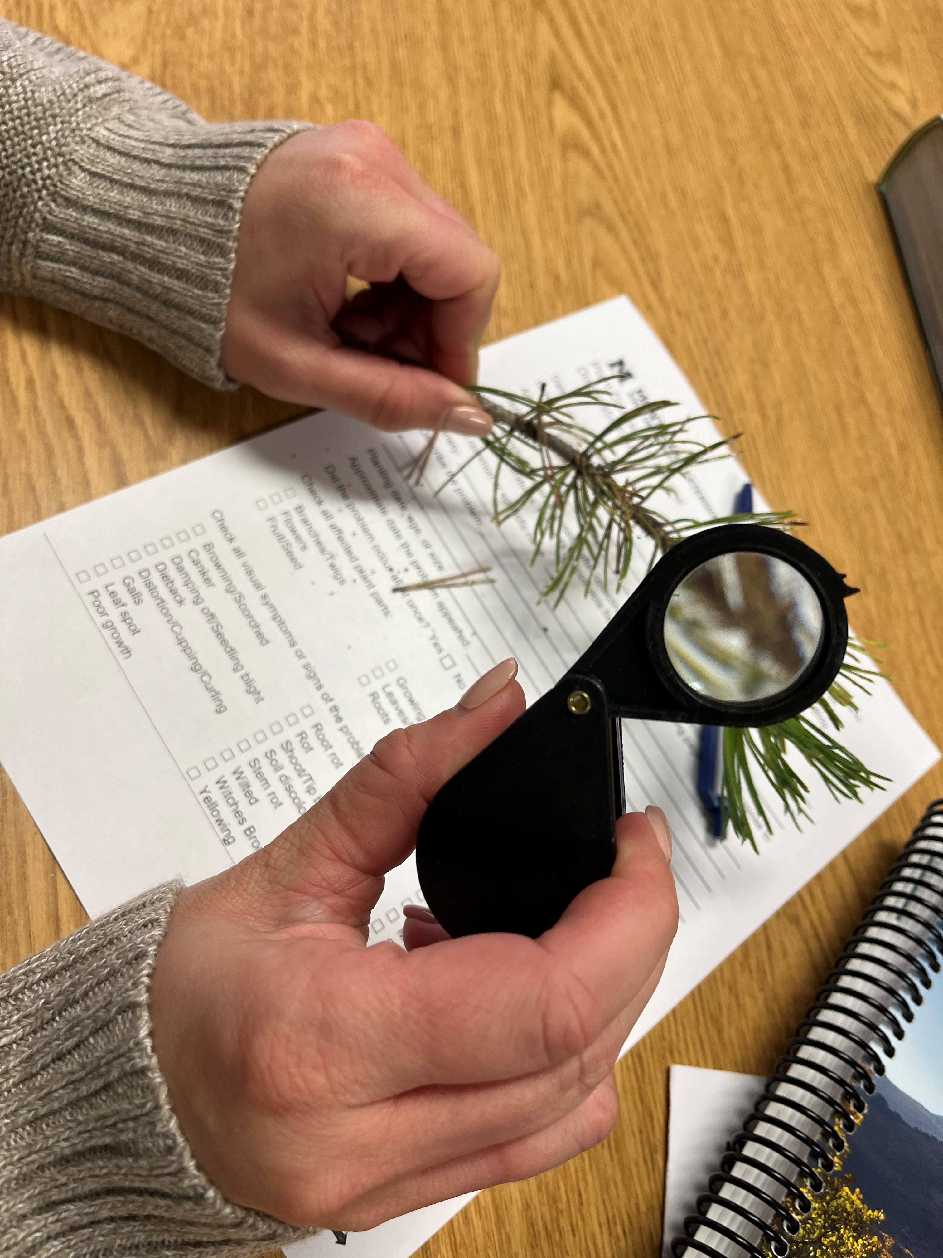 Plant Clinic findings